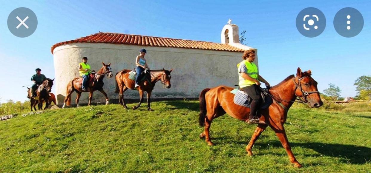 Villa Panta Zadar Buitenkant foto